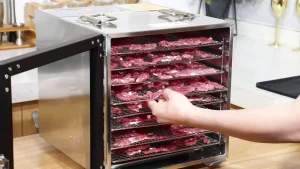 электросушилки для рыбы и мяса